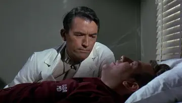 Backdrop to the movie "Captain Newman, M.D." #1573744