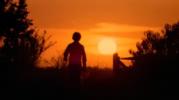Backdrop to the movie "The Texas Chain Saw Massacre" #629016