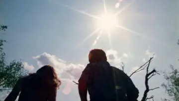 Backdrop to the movie "The Texas Chain Saw Massacre" #839730
