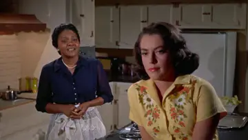 Backdrop to the movie "Imitation of Life" #1056100