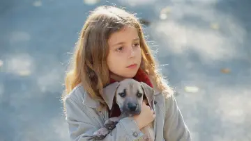 Backdrop to the movie "Chestnut: Hero of Central Park" #317503