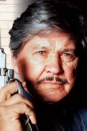 Poster to the movie "Death Wish V: The Face of Death" #1023123