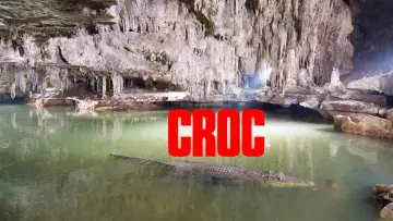 Backdrop to the movie "Croc" #1130605