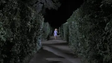 Backdrop to the movie "Four Flies on Grey Velvet" #283181
