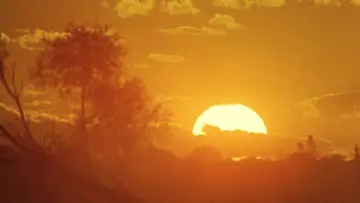 Backdrop to the movie "Walkabout" #897518
