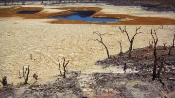 Backdrop to the movie "Walkabout" #897526