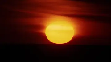 Backdrop to the movie "Walkabout" #897528