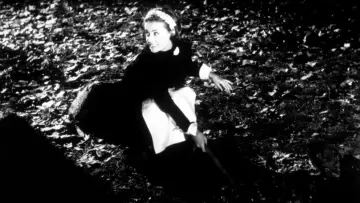 Backdrop to the movie "Diary of a Chambermaid" #1088201