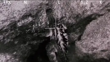 Backdrop to the movie "Godzilla, Mothra and King Ghidorah: Giant Monsters All-Out Attack" #903634