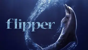 Backdrop to the movie "Flipper" #1060957