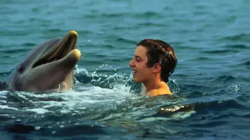 Backdrop to the movie "Flipper" #1060962