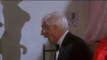 Backdrop to the movie "Naked Gun 33⅓: The Final Insult" #1207907
