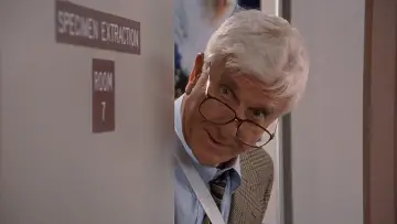 Backdrop to the movie "Naked Gun 33⅓: The Final Insult" #324007