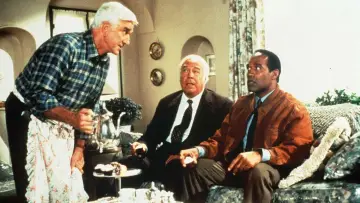 Backdrop to the movie "Naked Gun 33⅓: The Final Insult" #636547