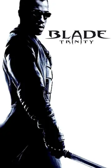 Poster to the movie "Blade: Trinity" #673644