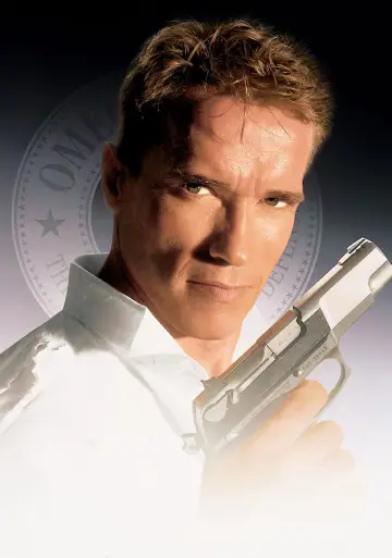 Poster to the movie "True Lies" #618683