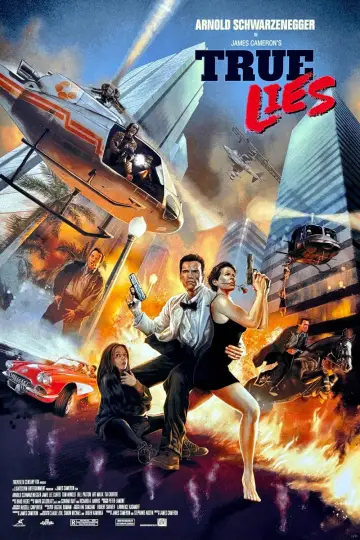 Poster to the movie "True Lies" #618686