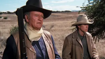 Backdrop to the movie "Cahill: United States Marshal" #411548
