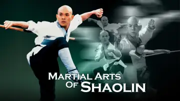 Backdrop to the movie "Martial Arts of Shaolin" #1096971