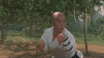 Backdrop to the movie "Martial Arts of Shaolin" #456787