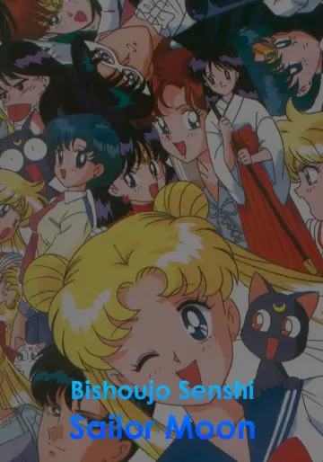 Poster to the movie "Sailor Moon R: The Movie - The Promise of the Rose" #115741