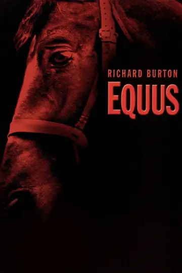Poster to the movie "Equus" #1104931