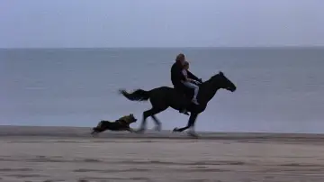 Backdrop to the movie "Equus" #463056