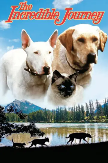 Poster to the movie "The Incredible Journey" #1099482