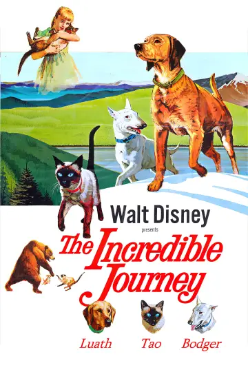 Poster to the movie "The Incredible Journey" #1099484