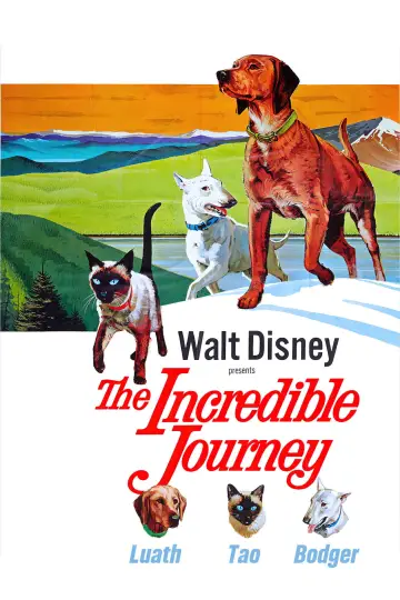 Poster to the movie "The Incredible Journey" #1099485