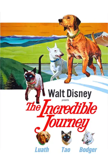 Poster to the movie "The Incredible Journey" #1099486