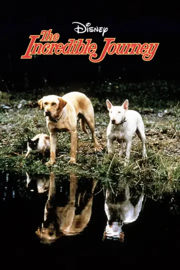 Poster to the movie "The Incredible Journey" #1099487