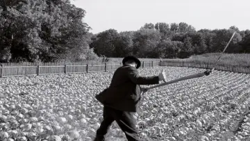Backdrop to the movie "The White Ribbon" #986653