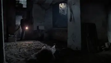 Backdrop to the movie "Revenge of the Dead" #717926