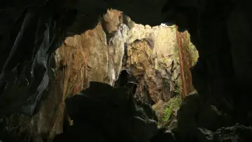 Backdrop to the movie "Uncle Boonmee Who Can Recall His Past Lives" #271423