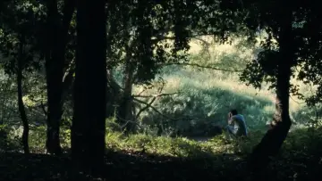 Backdrop to the movie "Uncle Boonmee Who Can Recall His Past Lives" #996521