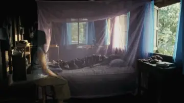 Backdrop to the movie "Uncle Boonmee Who Can Recall His Past Lives" #996523