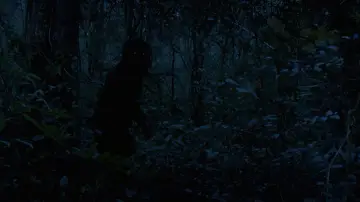 Backdrop to the movie "Uncle Boonmee Who Can Recall His Past Lives" #996525