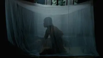 Backdrop to the movie "Uncle Boonmee Who Can Recall His Past Lives" #996530