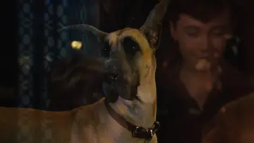 Backdrop to the movie "Marmaduke" #616777