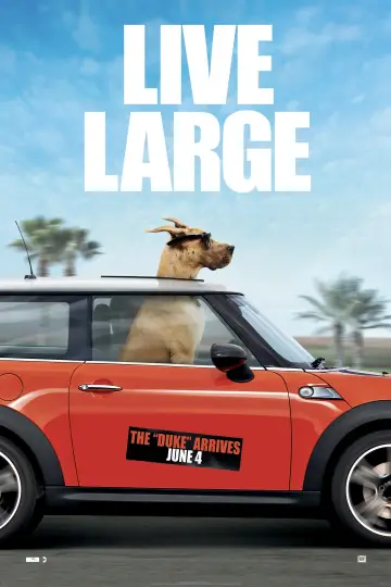 Poster to the movie "Marmaduke" #888834