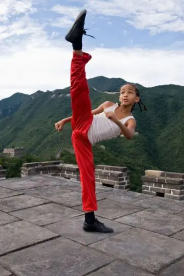 Poster to the movie "The Karate Kid" #835689