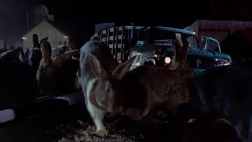 Backdrop to the movie "Night of the Lepus" #1083388