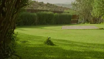 Backdrop to the movie "Dogtooth" #1647364