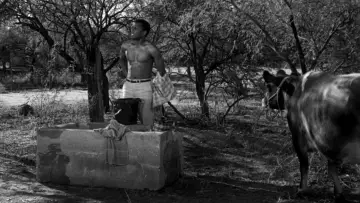 Backdrop to the movie "Lilies of the Field" #1046523