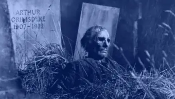 Backdrop to the movie "Tales from the Crypt" #1013886