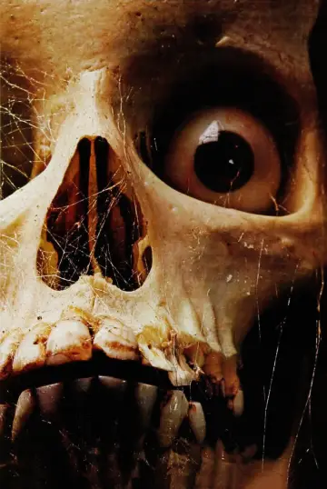 Poster to the movie "Tales from the Crypt" #1013898