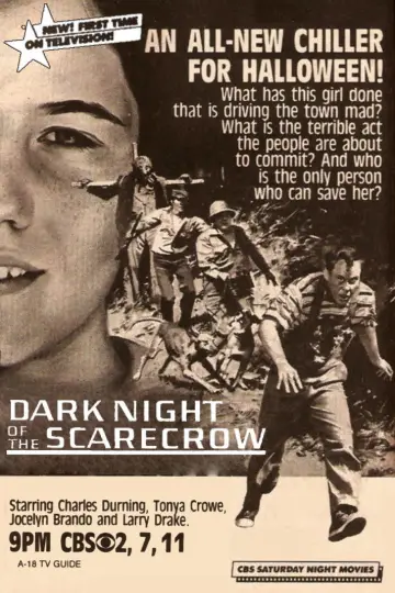 Poster to the movie "Dark Night of the Scarecrow" #1065985