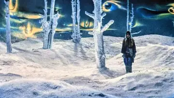 Backdrop to the movie "Kwaidan" #813015