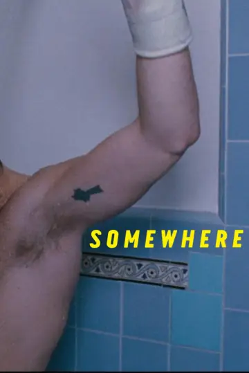 Poster to the movie "Somewhere" #1168276